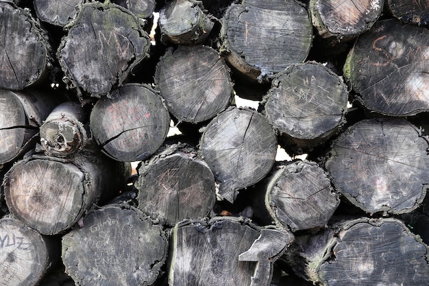 Pile de bois noir