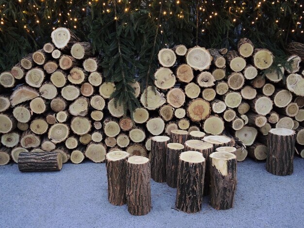 Pile de bois nouvellement abattue pour le feu en hiver