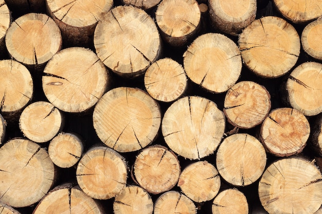 Pile de bois pile de rondins d&#39;arbres, texture d&#39;arrière-plan abstraite