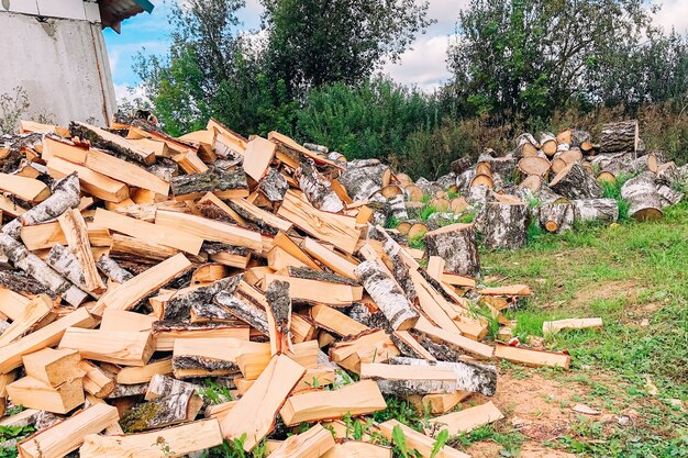 Pile de bouleau de bois de chauffage haché en plein air.