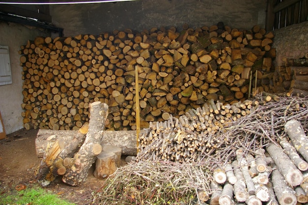 Une pile de bûches dans la forêt