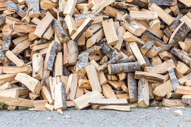 Photo une pile de bûches dans la forêt