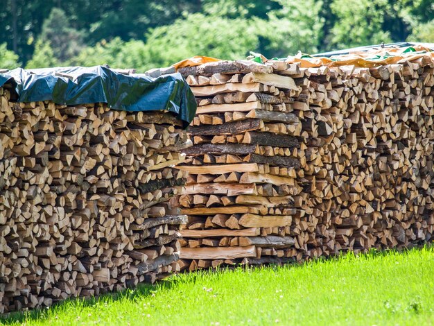 Photo une pile de bûches dans la forêt