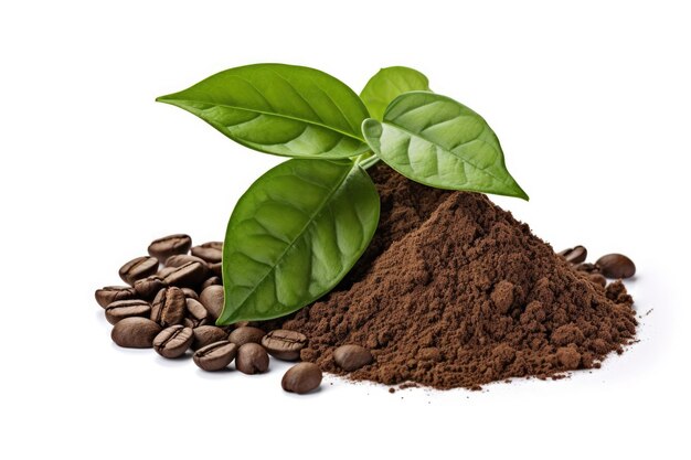 Pile de café moulu et de grains de café torréfiés entiers avec des feuilles vertes isolées sur fond blanc