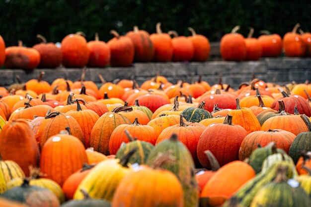 Photo pile de citrouilles à vendre des aliments sains concept halloween