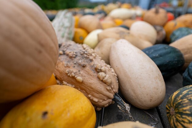 Photo pile de citrouilles à vendre des aliments sains concept halloween