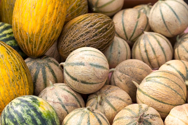 Pile de diverses espèces de melon sur un étal de marché