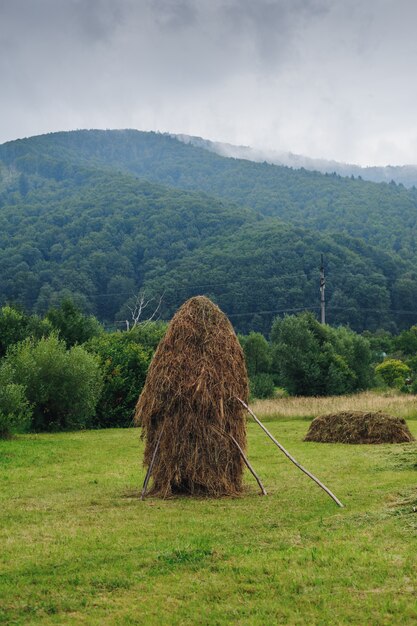 Pile de foin