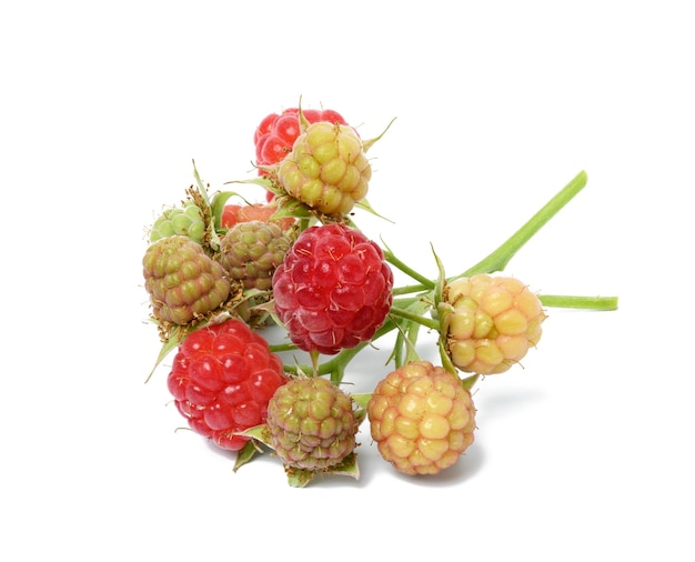 Pile de framboises rouges fraîches sur fond blanc isolé