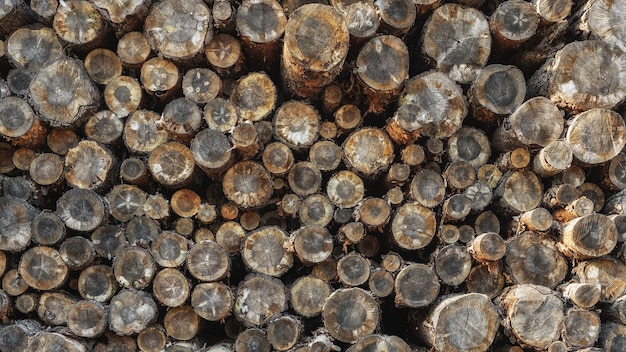 Une pile de grumes de bois sciées naturelles empilées Opérations d'exploitation forestière