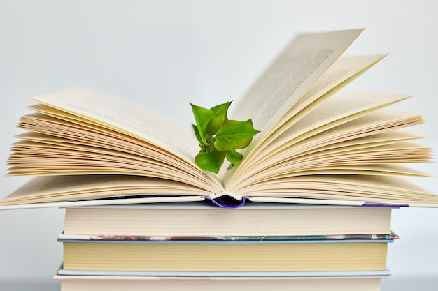 Une pile de livres avec des feuilles vertes de branches Journée mondiale du livre concept de connaissance et de créativité printemps été humeur espace de copie vue supérieure