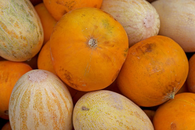 Pile de melons UzbekRussian et melons Kolkhoznitsa sur une échoppe de marché