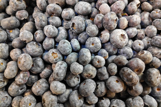 Pile de myrtilles sur un étal de marché