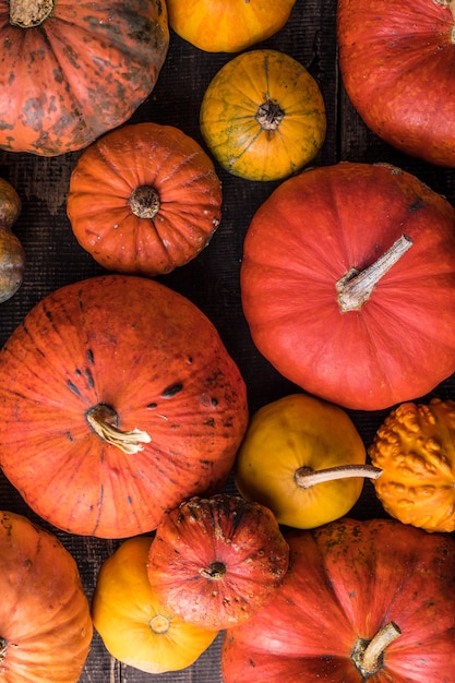 Pile de nombreuses citrouilles multicolores et courges de différentes formes et couleurs. Différents types de décoration de citrouilles colorées