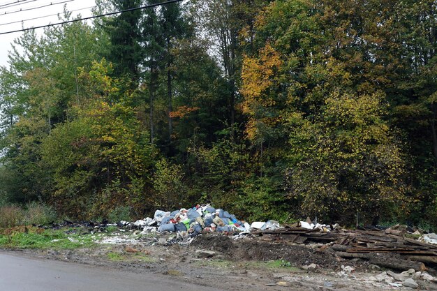 Une pile d'ordures sans benne éparpillée dans la rue dans la forêt.