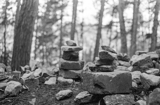 Une pile de pierres sur un champ dans la forêt