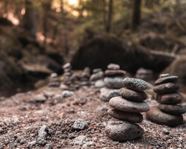 Photo une pile de pierres dans la forêt