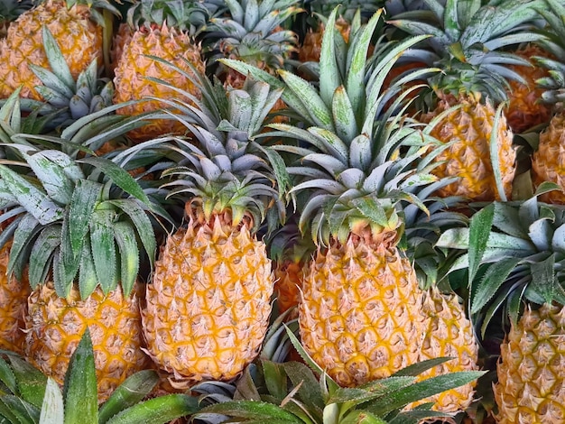 Pile plein cadre d'ananas mûrs à vendre à Market Stall