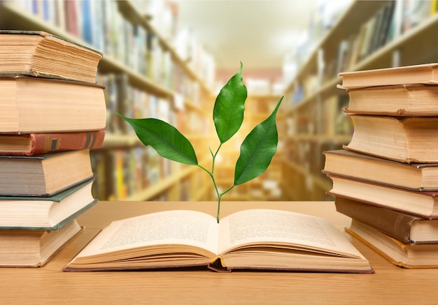 Pile de vieux livres et de feuilles, concept d'éducation