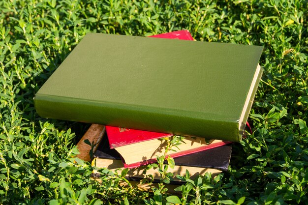 Pile de vieux livres sur l'herbe verte