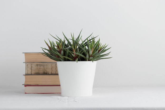 Pile de vieux livres vintage rustiques avec la plante