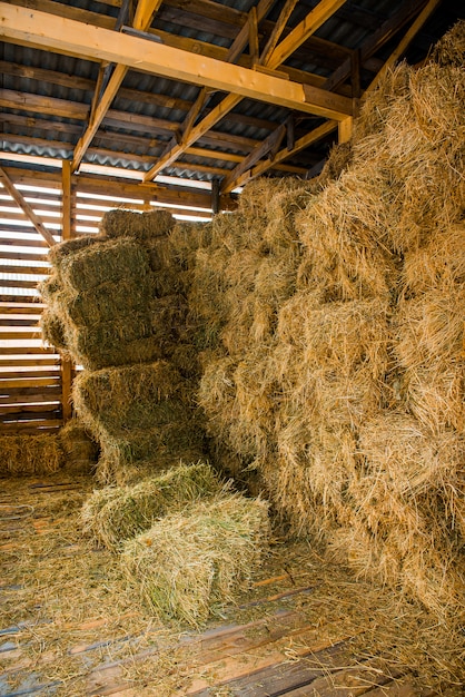 Piles de foin sec à l'intérieur d'une grange rurale en bois