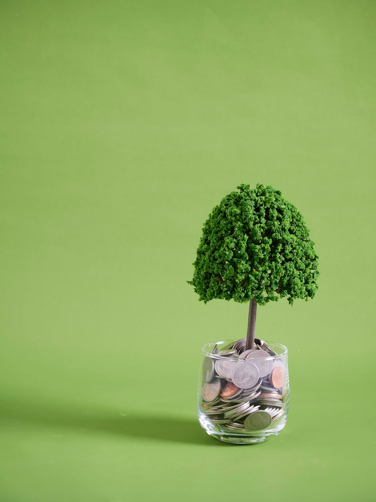 Photo des piles de pièces sur fond vert