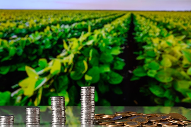 piles de pièces sous la forme d'un graphique à barres plantes en arrière-plan concept d'investissement agroalimentaire