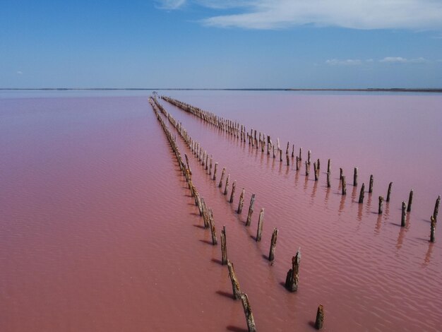 Piliers en bois dans le lac salé restes en bois dans le lac rose