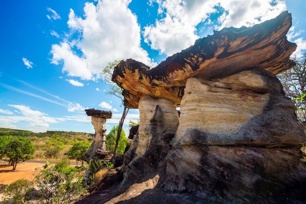 Les piliers en pierre de champignon d'un million d'années au parc national de Pha tam dans la province thaïlandaise d'Ubon Ratchathani