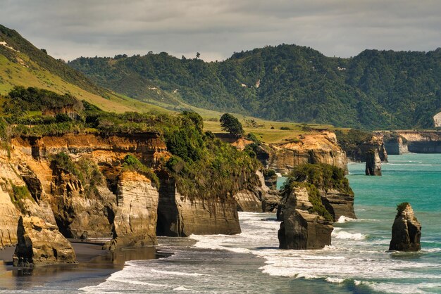 Des piliers de roche s'élèvent de la mer sur la côte de Taranaki