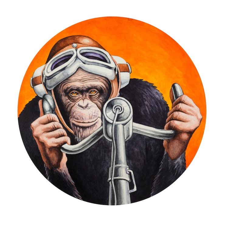 Photo pilote de chimpanzé aux commandes de l'avion