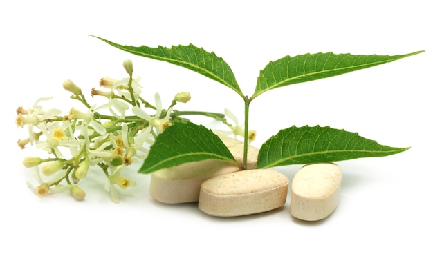 Pilules à base de feuilles et de fleurs de neem médicinales