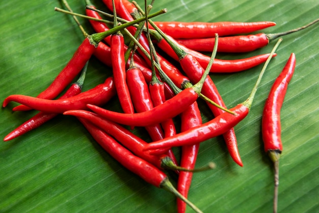 Piment fort et épicé sur fond de feuille de bananier, piment rouge de Thaïlande