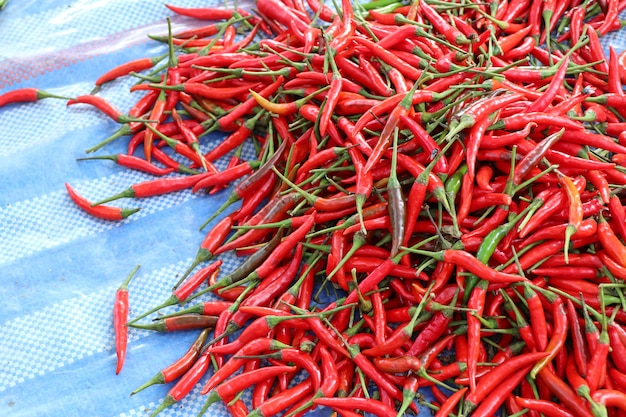 Piment frais au marché