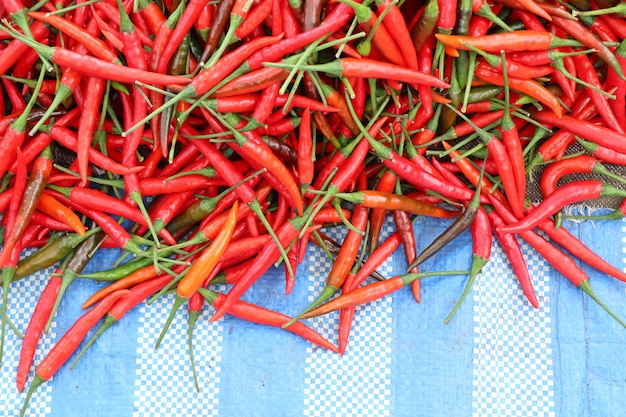 Piment frais au marché