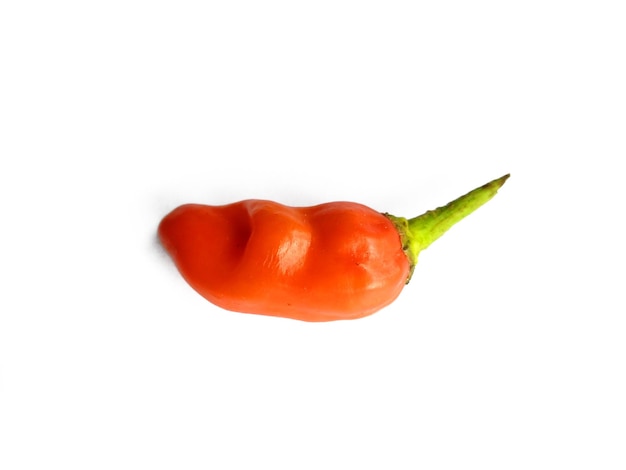 Piment isolé sur fond blanc piment rouge chaud