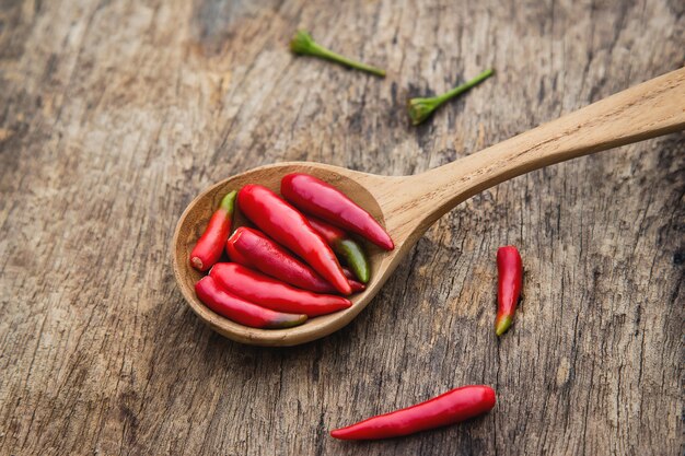 Piment rouge sur une cuillère en bois pour l&#39;ingrédient de la cuisine