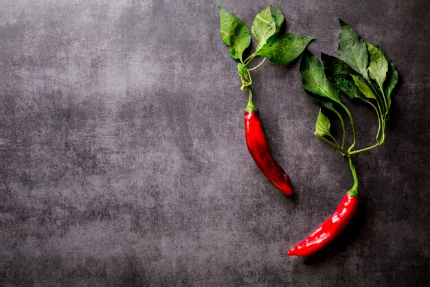 Piment rouge du Chili sur fond sombre.