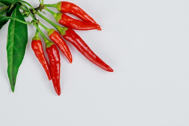 Piment rouge avec des feuilles isolées sur blanc.