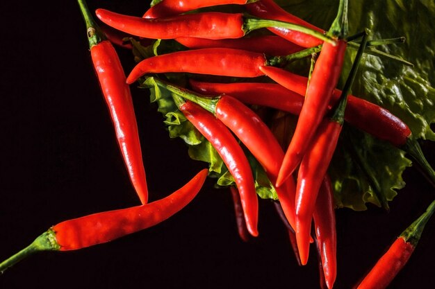 piment rouge sur fond noir sur une feuille de laitue