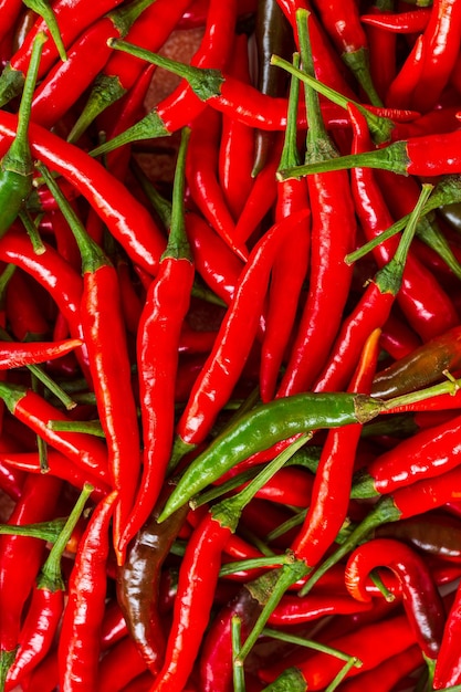 piment rouge macro, fond de piment rouge, motif de piments rouges chauds Fond de texture de piment.