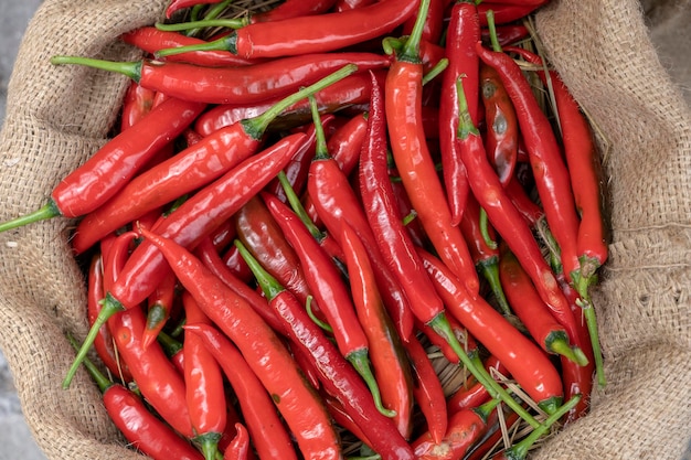 Piment rouge à vendre sur le marché de rue traditionnel à Ubud Bali Indonésie gros plan