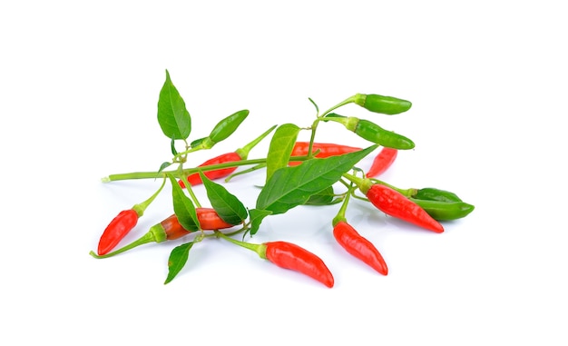 Piments rouges sur blanc