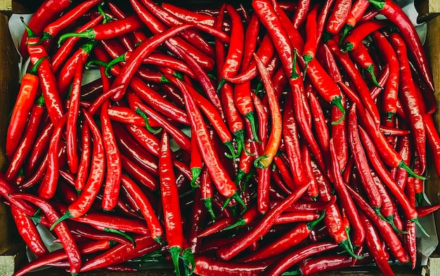 Piments rouges en boîte