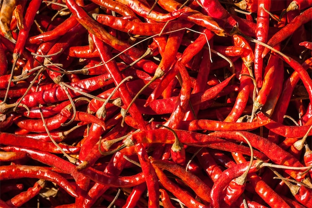 Piments rouges épicés