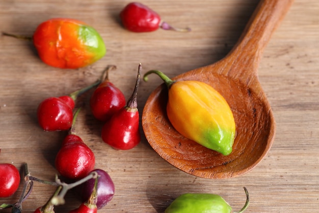 Piments rouges épicés