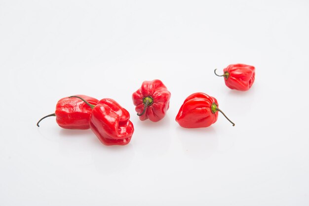 Piments rouges forts pour garnir les repas