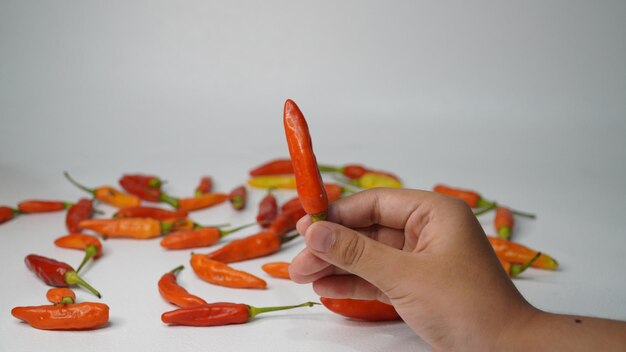 Des piments rouges frais sur un fond blanc