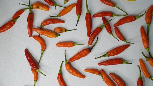 Des piments rouges frais sur un fond blanc